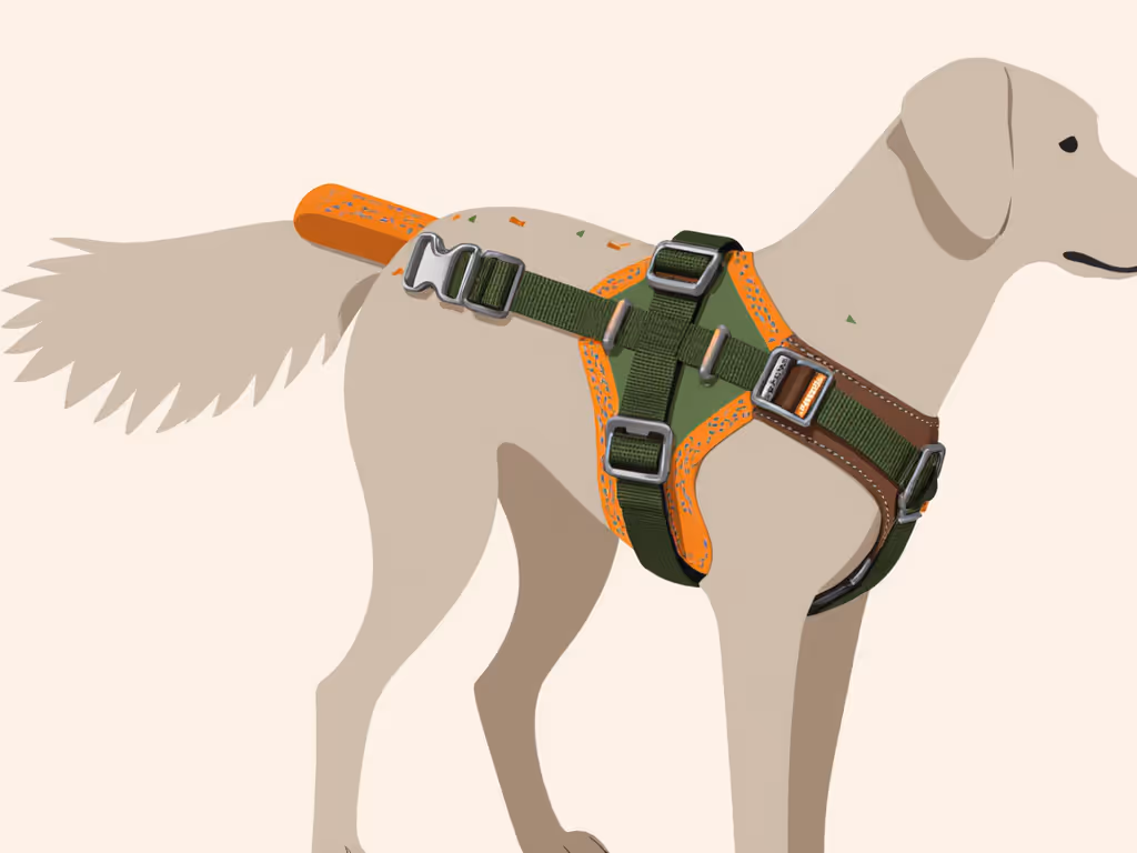 dog_pack_fit_adjustment_mechanics_showing_harness_tension_points